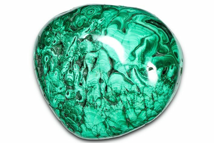 Flowery Polished Malachite Specimen - DR Congo #360902